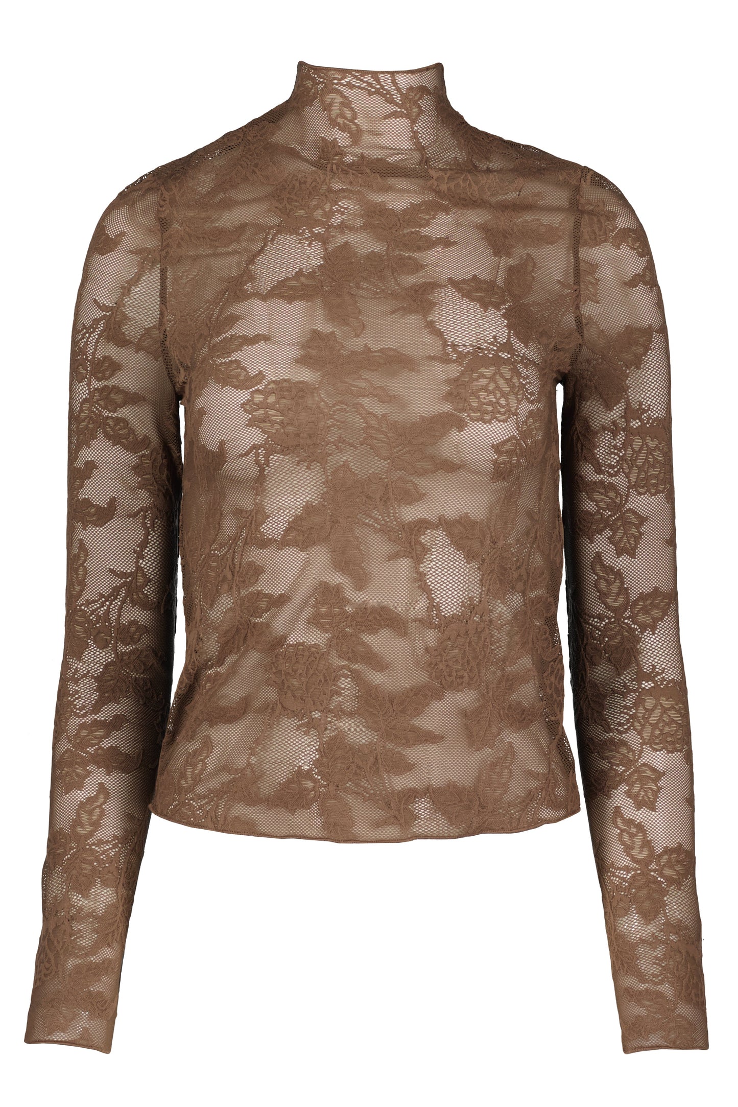 Spencer Funnel Neck Sheer Top