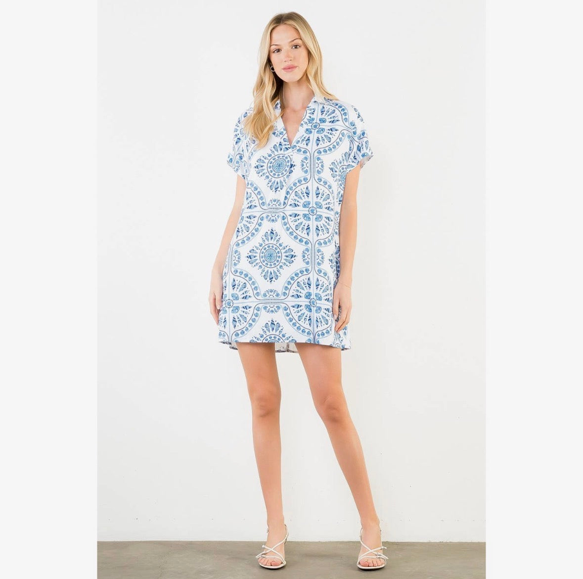 Shell Print Shift Dress